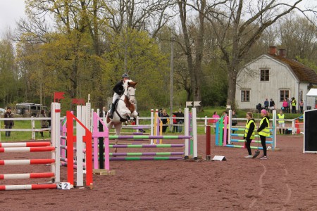Mönsterås 90 cm 2014
